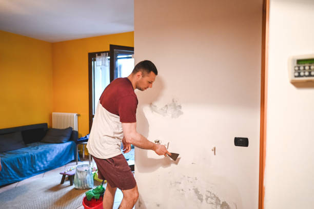Best Attic Mold Remediation in Concord, MI